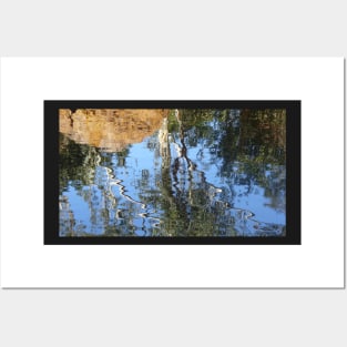 Karijini Gum Tree Reflections Posters and Art